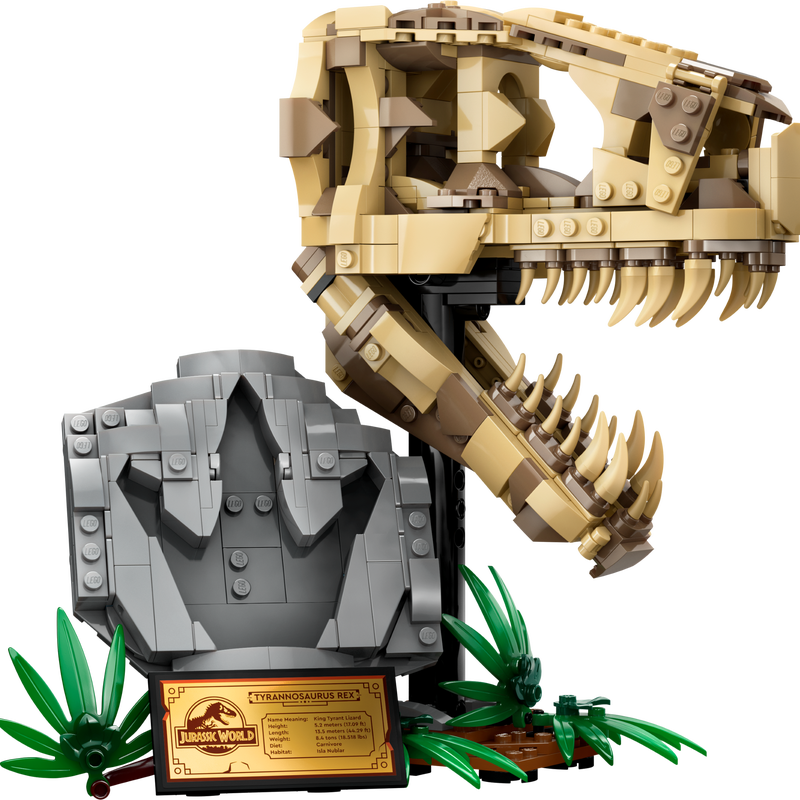 Lego Jurassic World 76964 T-Rex Skull
