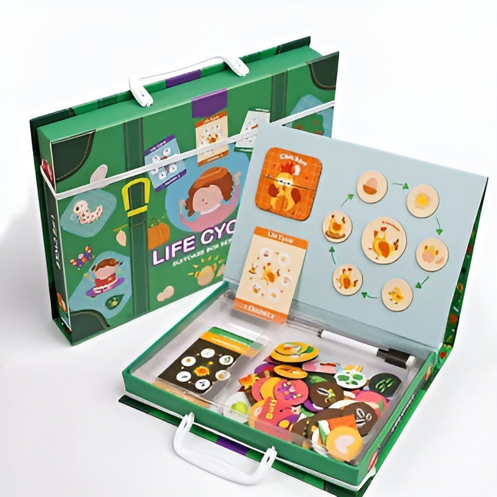 Natures Ways - Lifecycle Game