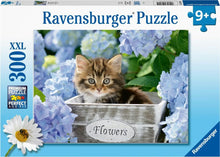 Little Kitten 300Xxl Puzzle