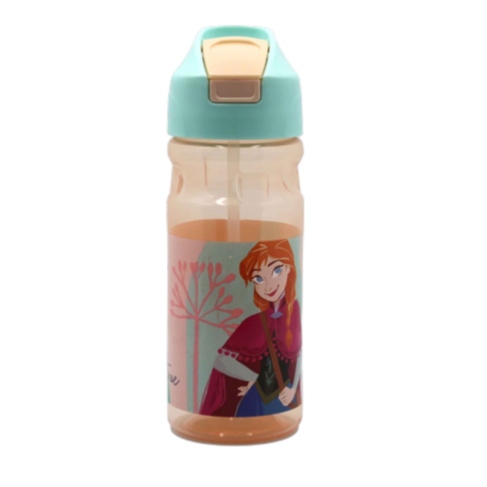 Disney Frozen Plastic Bottle 500 ml
