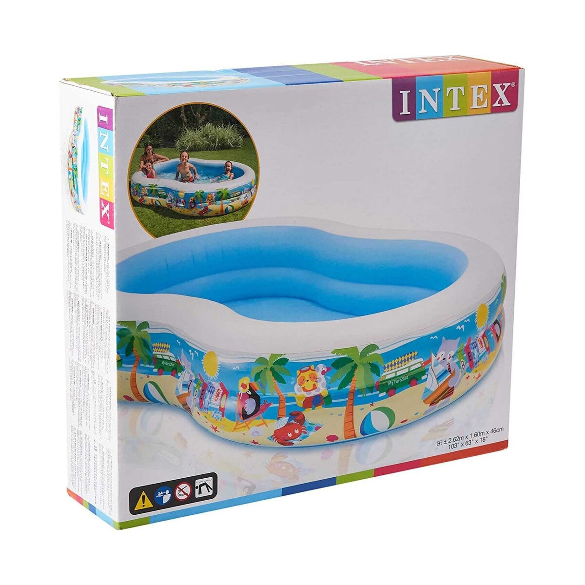 Intex Paradise Pool 262X160X46