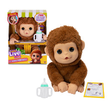 Little Live Pets My Baby Monkey Mango