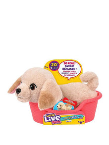 Little Live Pets My Really Real Puppy Mini Buddy