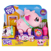Little Live Pets Piggly
