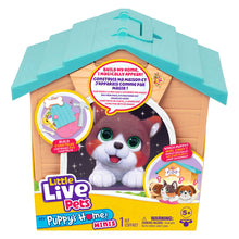 Surprise Puppy Cuddle in Dog House